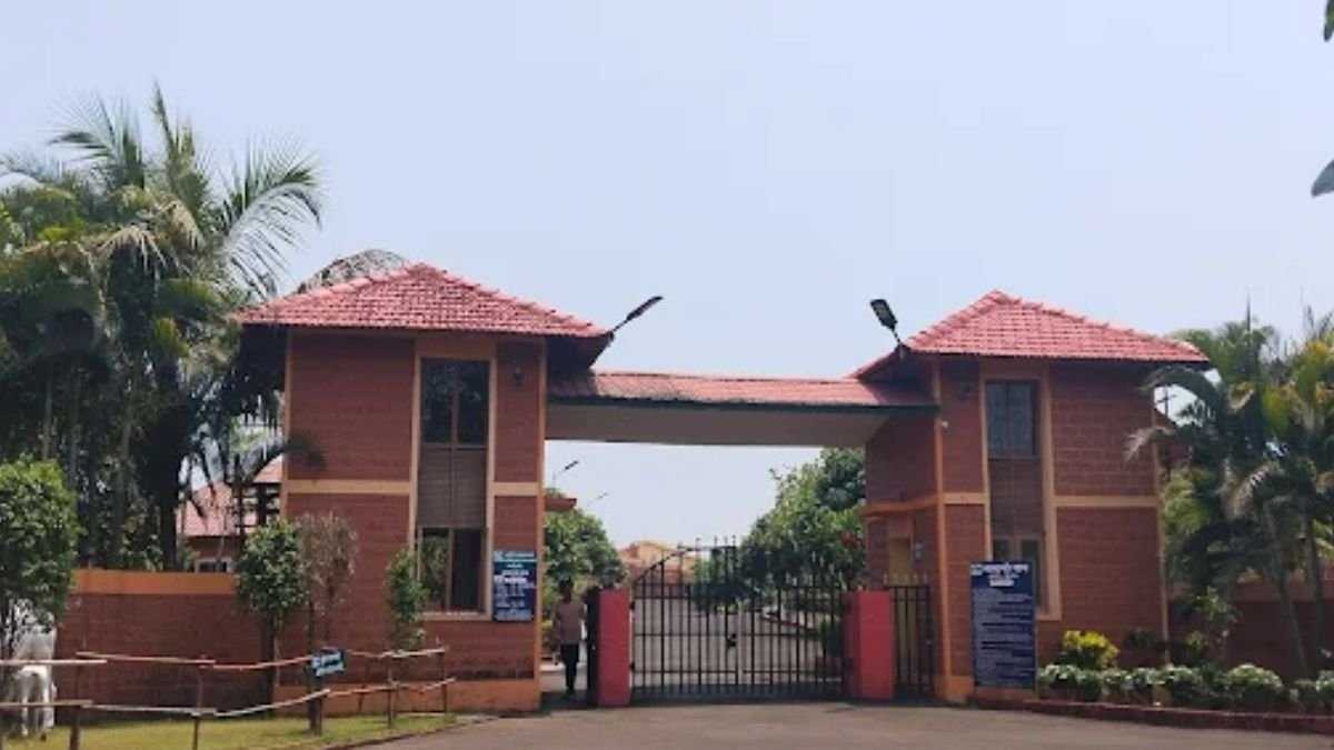 Mamacha Gaon Resort