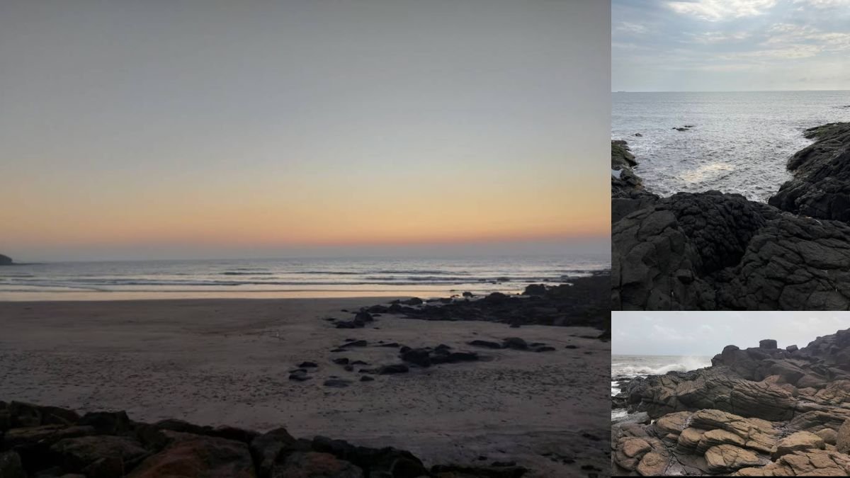 Hedvi Beach